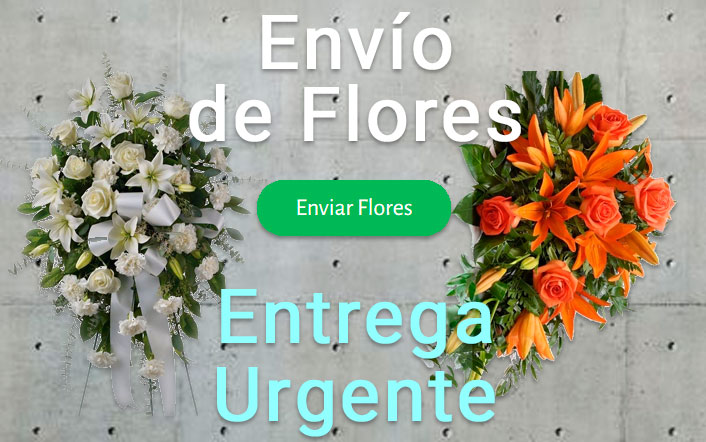 Envio de flores urgente a Tanatorio Murcia